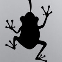 r-frog