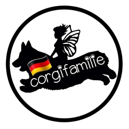 corgifamilie