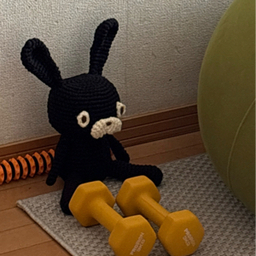 tocotoco-toy