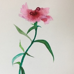❦ℯꫛᎴ❧