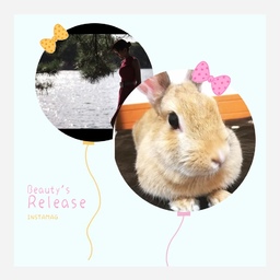 よぅ🐰