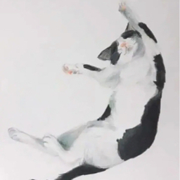 sho
