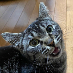 まな