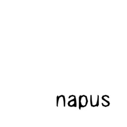 napus