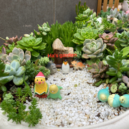 hagarden