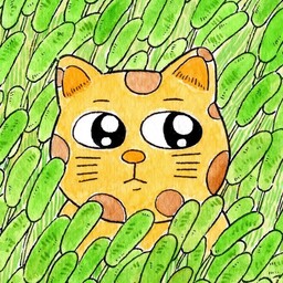 こまはち