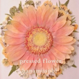 Pressed flower 花結び
