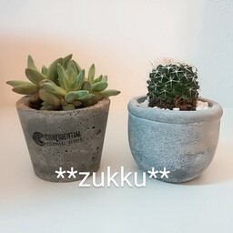 zukku