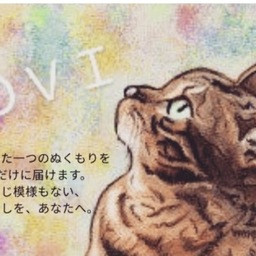 Dovi工房