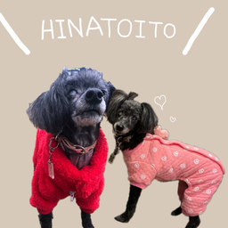 hinatoito