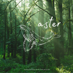 aster99699