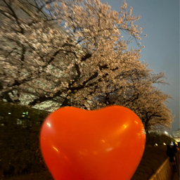 nothk