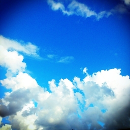 sky**