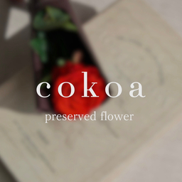 cokoa flower