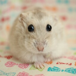 みり