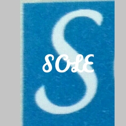 SOLE