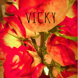 vickyy