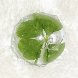 clover-resin