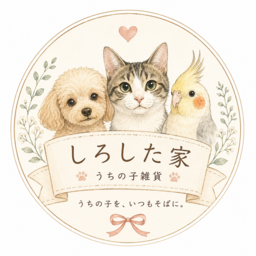 うちの子日和