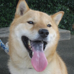 toshikunxxx