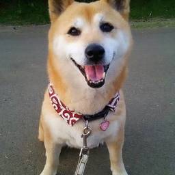 ともりん