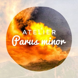atelier  Parus minor