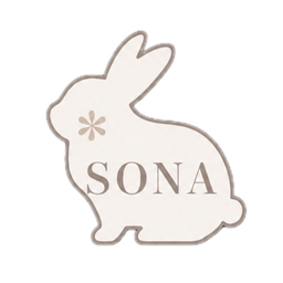 sona-accessory