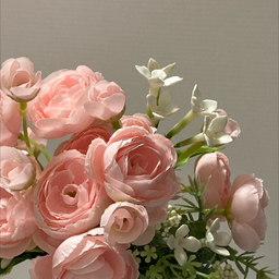 freesia