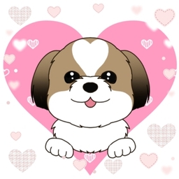 あいこ