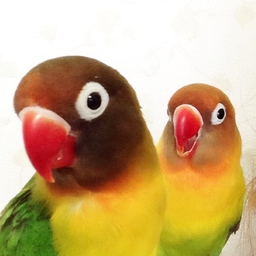 あじ