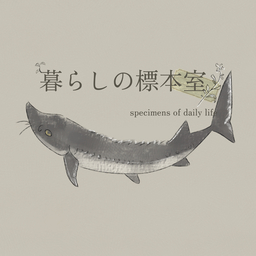 暮らしの標本室