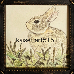 kaisei