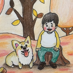 ちゃか
