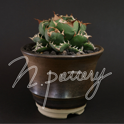 npottery628