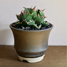 npottery628