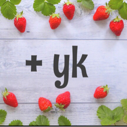 plus-yk