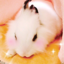 瑠璃
