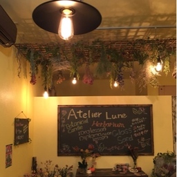 Atelier Lune☽ ⋆゜
