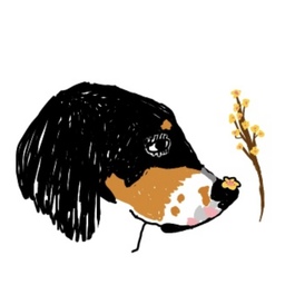 nonomeguri