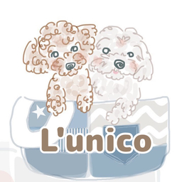 L'unico