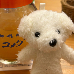 いぬみ