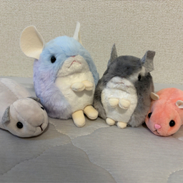 kijimeuzura