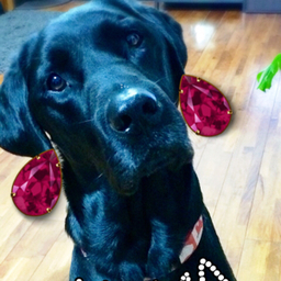 Kuma's  Earrings