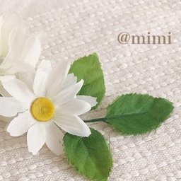 mimi