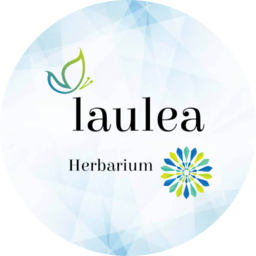 Herbarium　laulea