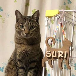 suriko