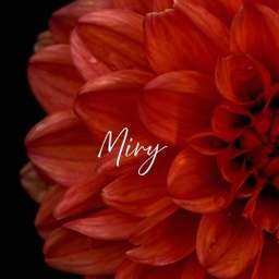 miry jewe