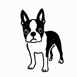 shiro-kuro