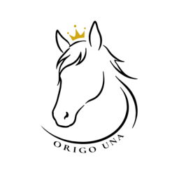 ORIGO UNA