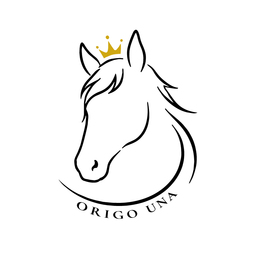 ORIGO UNA